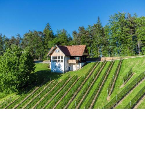 Ferienhaus Wagnerfranzl