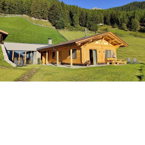 Ferienhütte Premstlahof - Chalet