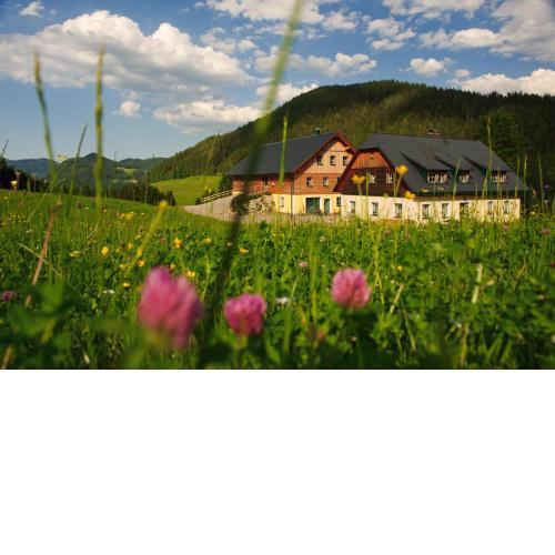 Ferienstadl - Hammerau