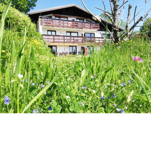 Ferienwohnung Brändle