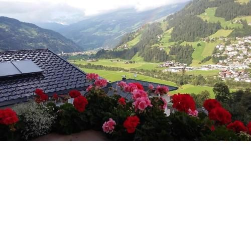 Ferienwohnung Dornauer Sommer