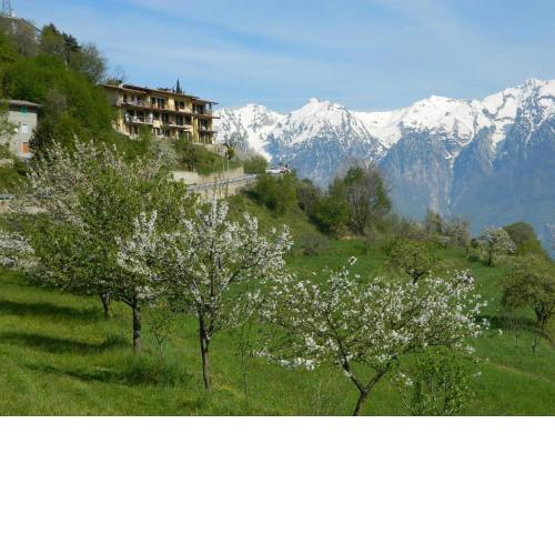 Ferienwohnung für 2 Personen 2 Kinder ca 50 m in Tignale, Gardasee Westufer Gardasee - a78379