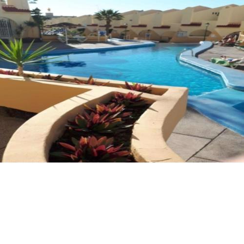 Ferienwohnung für 3 Personen 1 Kind ca 55 m in Costa Adeje, Teneriffa Westküste von Teneriffa