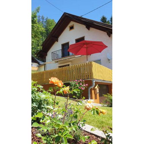 Ferienwohnung Haus Pirkebner