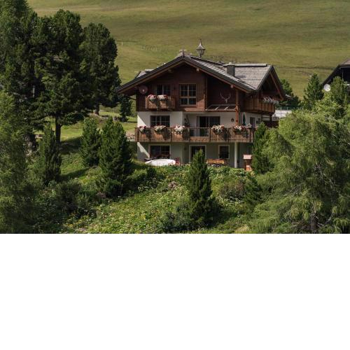 Ferienwohnung im Almhaus Seeblick am Falkert