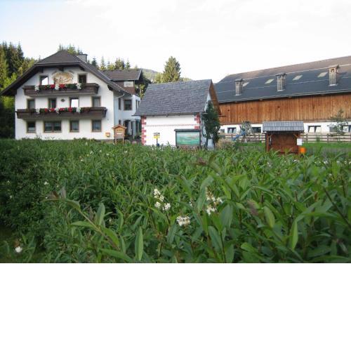 Ferienwohnung Seifterhof
