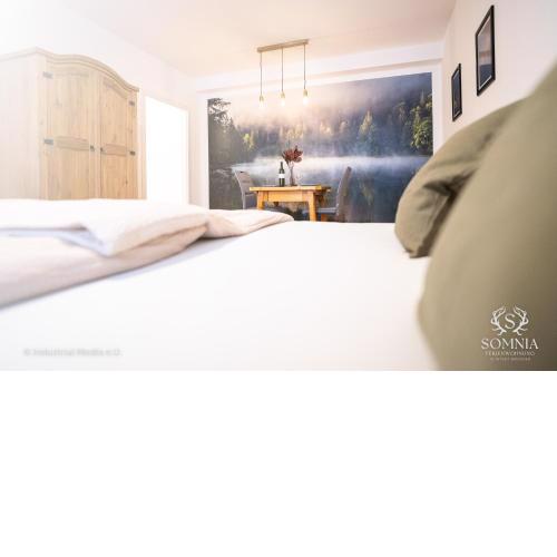 Ferienwohnung Somnia - Altstadt Gmunden