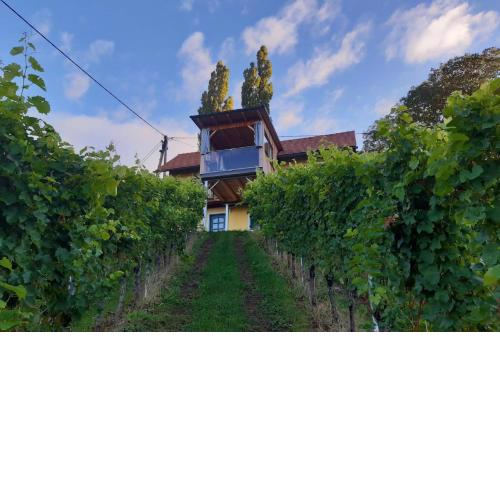 Ferienwohnung Urschitz