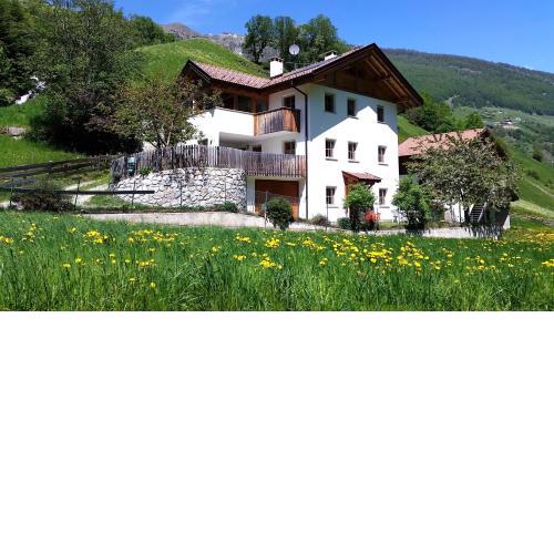 Ferienwohnungen Auhaus
