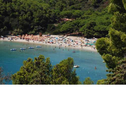 Fetovaia Beach