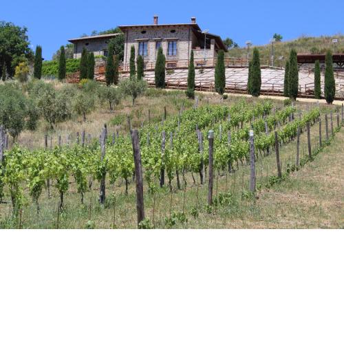 Feudi Enchestre B&B Agropoli