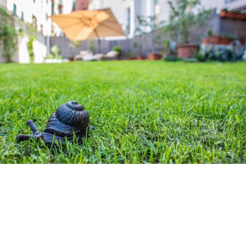 FICO MAGICO giardino in centro Citra 2579