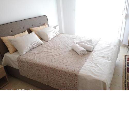 FILIPPOS APARTMENT ARIDAIA LOUTRA POZAR