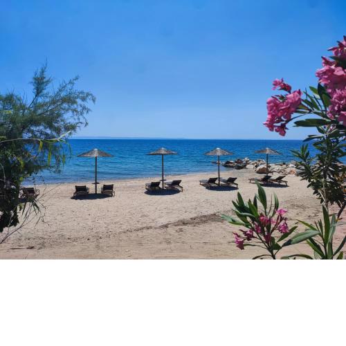 Filokalia Seaside