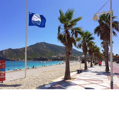 Fin Albir Playa