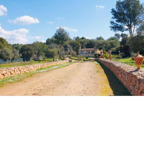 Finca Andi, Entspannung pur!