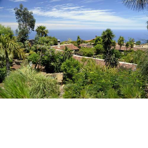 Finca El Lance