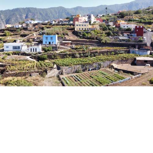 Finca El Milagro - Las Vistas