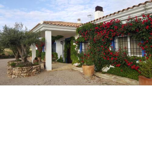 Finca El Romeral