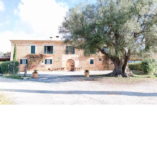 Finca Es Cabas