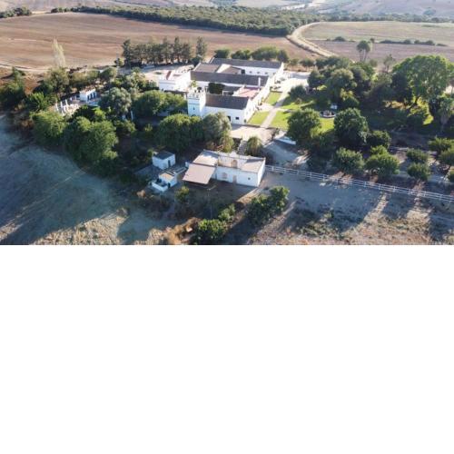 Finca La Fuensanta