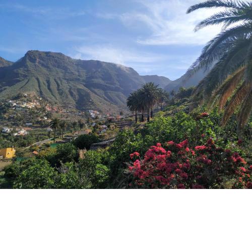 Finca La Ladera