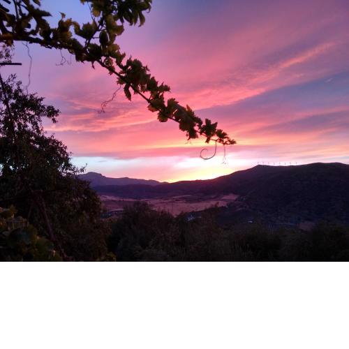 Finca La Piedra Holidays
