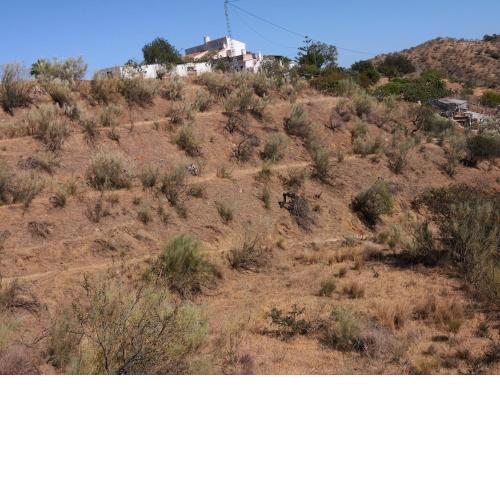 Finca La Pimienta