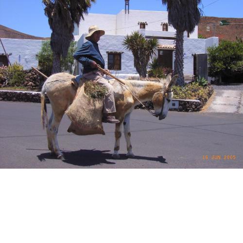 Finca Lanzarosy