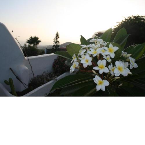Finca-Las Mariposas 2