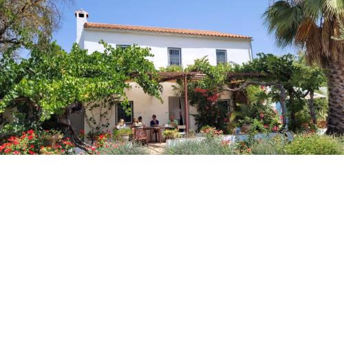 FINCA LOS MELEROS Andalucian farmhouse set in its own land with beautiful terraces, garden & pool.