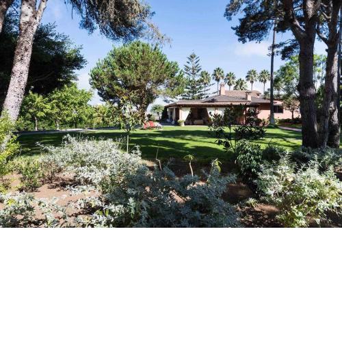 Finca Los Pinos