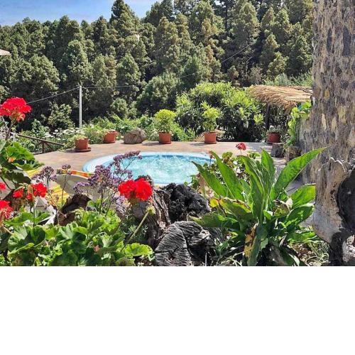 Finca los tamarillos