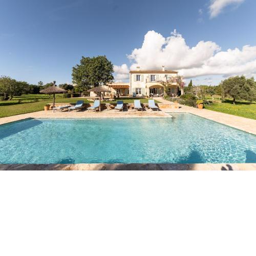 Finca Paulo