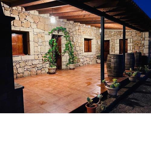 Finca Rural Los Olivos en Arico