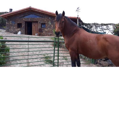 Finca rural Tenerife Relax And Enjoy