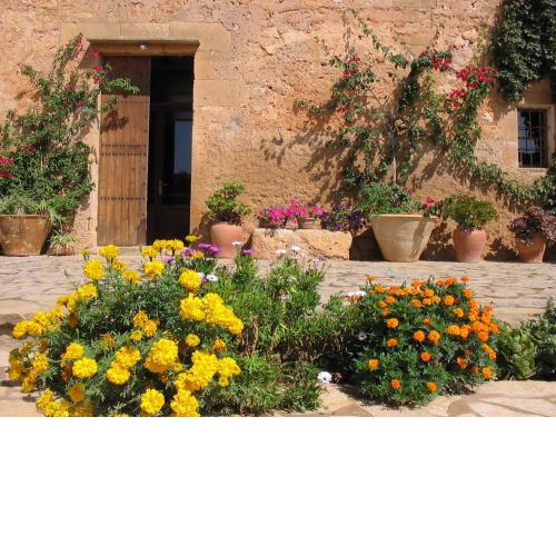 Finca Sa Cova Vella