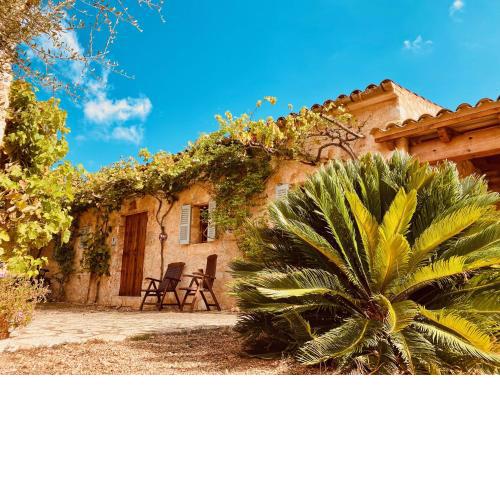 Finca Sa Moleta Nou