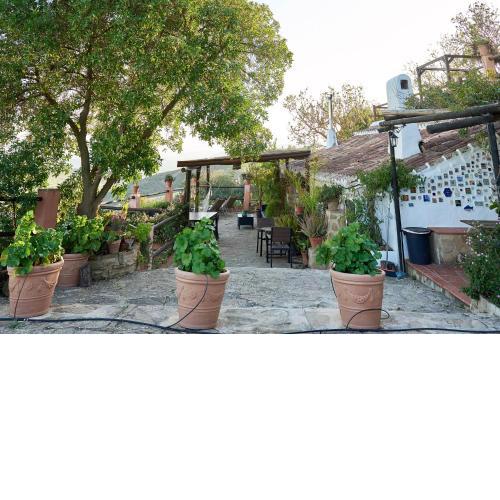 Finca Sábila