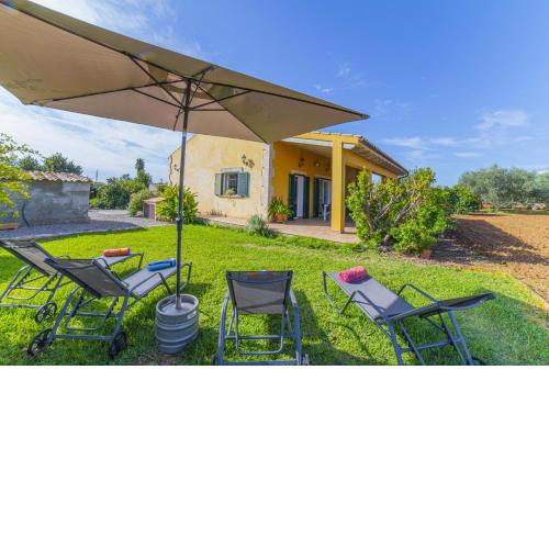 Finca SON SERRA Buger