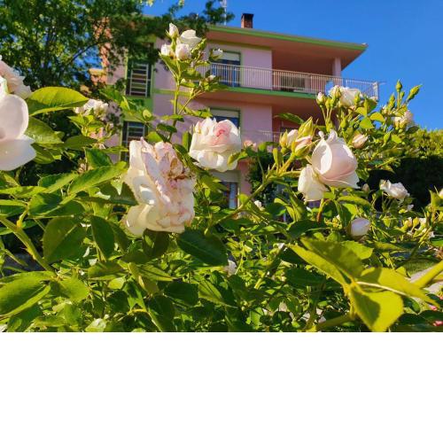 Fiori e Frutti Appartamenti
