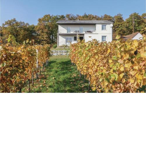 Five-Bedroom Holiday Home in Eisenberg