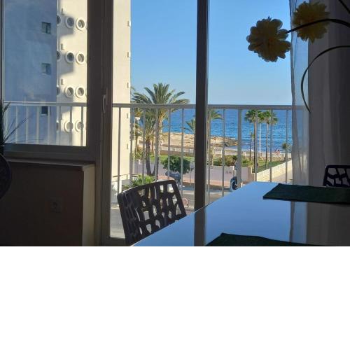 Flamingo Seaviews