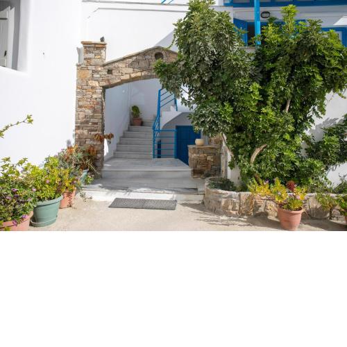 Flora Apartments & Studios