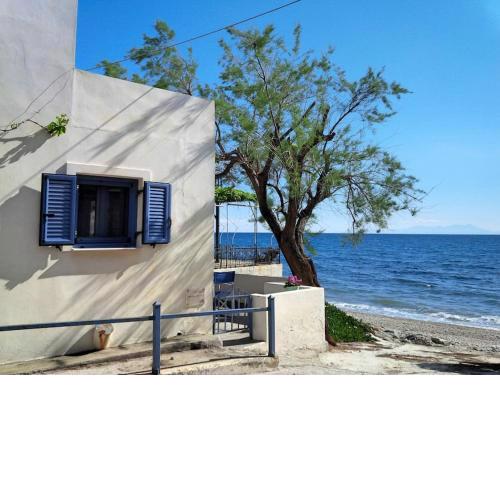 Floras Charming Waterfront Villa