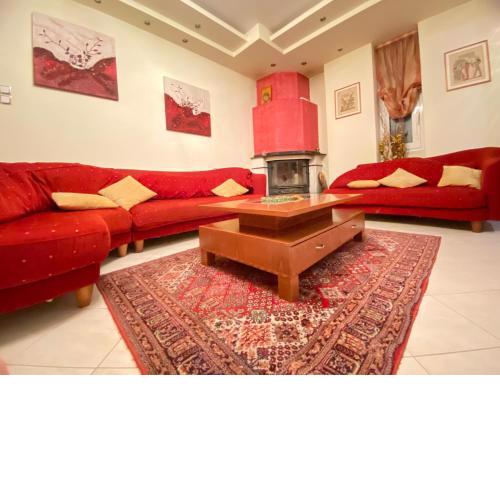 Florina House - Spacious with 2 Bedrooms and mountain view