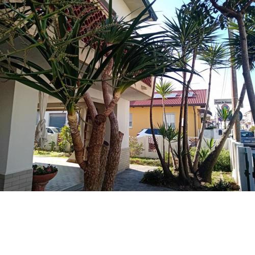 Florinda B&B Viareggio