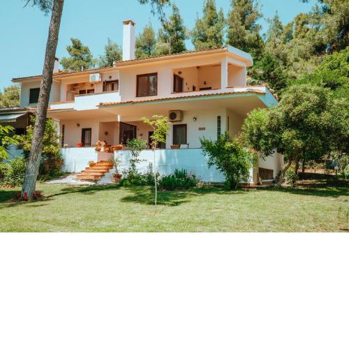 Forest house Near the sea