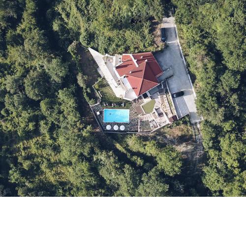 Forest Suites Boutique Hotel