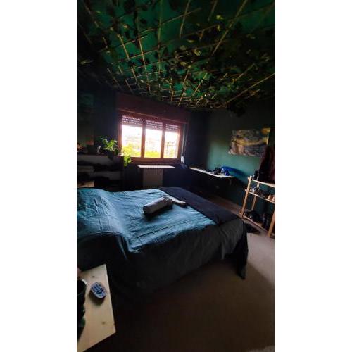 ForestRoom